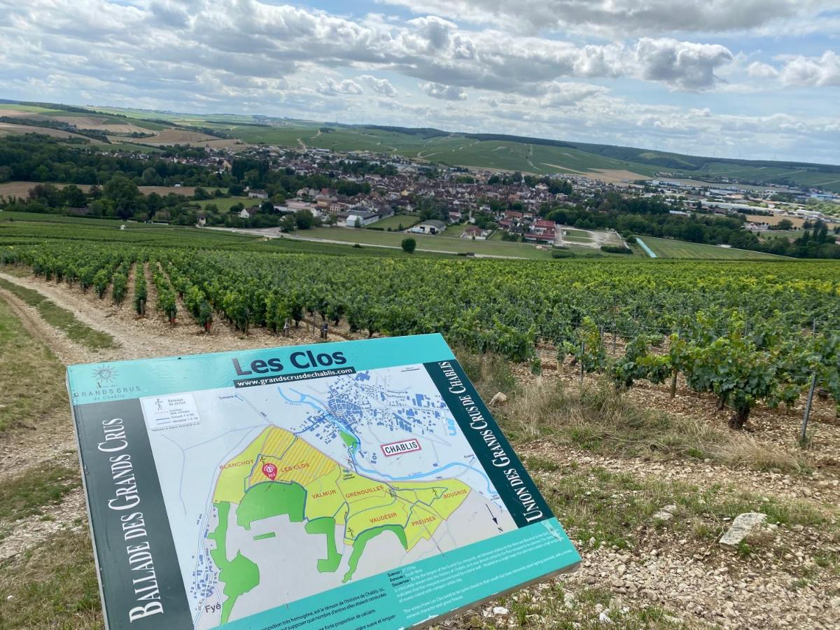 Le Cristallin Gite Plein Coeur De Chablis Kültér fotó